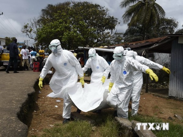 Bác sỹ Liberia đình công đẩy dịch Ebola có nguy cơ lây lan nhanh