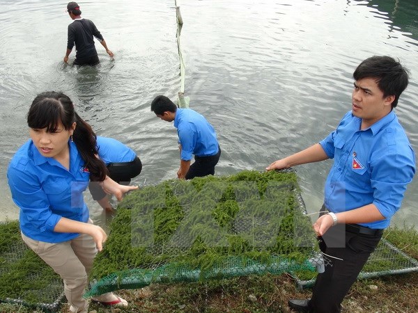 Ban Bí thư ra Chỉ thị về giáo dục lý tưởng cho thế hệ trẻ