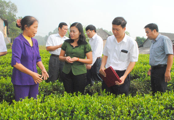 Người phụ nữ tâm huyết với sản phẩm chè an toàn 