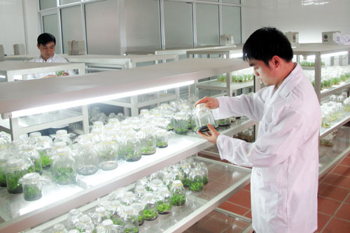 Chuyển giao nhiều tiến bộ khoa học vào sản xuất và đời sống 