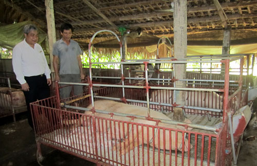“Cú hích” để nông dân mạnh dạn phát triển chăn nuôi 