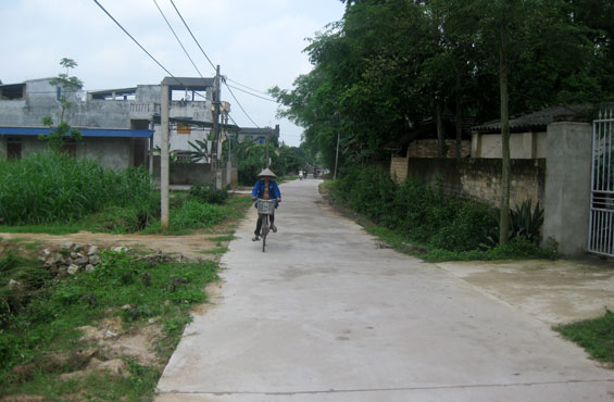 Cấp trên 27 nghìn tấn xi măng xây dựng cơ sở hạ tầng nông thôn 
