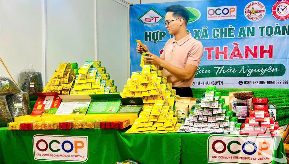 Gắn công nghệ với sản xuất chè an toàn