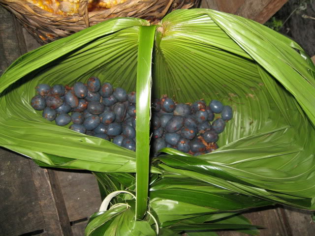 Quả cọ, món quà dân dã của ATK Định Hóa 