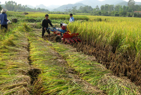 Đẩy mạnh cơ giới hóa trong sản xuất nông nghiệp 