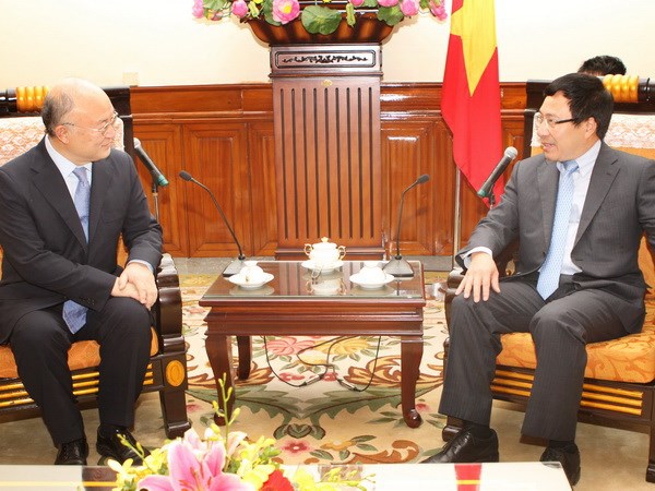 Đề nghị IAEA tiếp tục dành ưu tiên, hỗ trợ Việt Nam