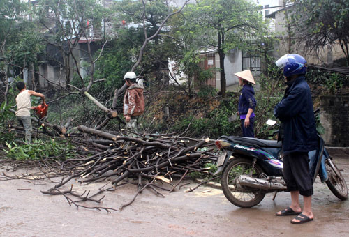   Đồng thuận trong giải phóng mặt bằng 