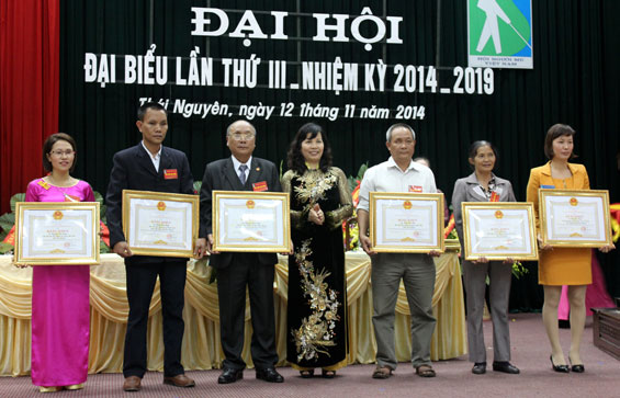 Đại hội đại biểu Hội Người mù tỉnh lần thứ III, nhiệm kỳ 2014-2019 