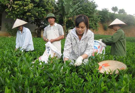 Diện mạo mới ở Phú Cường 