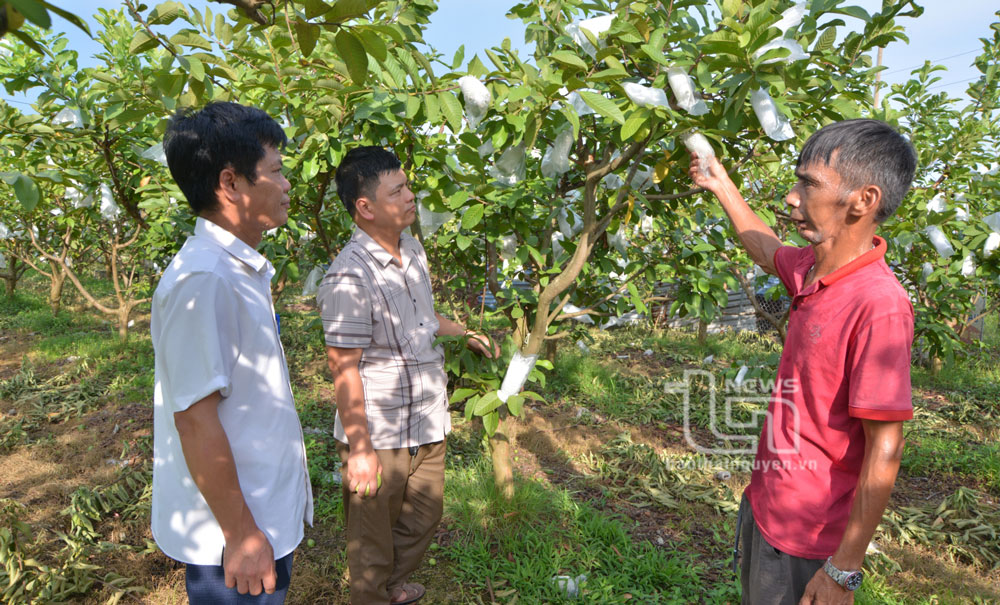 Đồng hành cùng hội viên phát triển kinh tế