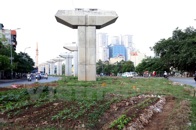Hà Nội: Đường sắt đô thị chậm tiến độ, dân tranh thủ trồng rau xanh