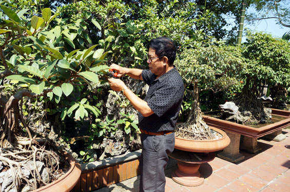 Gương sáng cựu thanh niên xung phong
