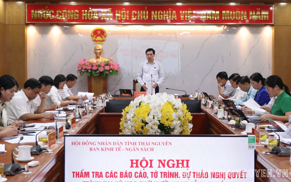 Ban Kinh tế - Ngân sách HĐND tỉnh: Thẩm tra các nội dung trình tại Kỳ họp thứ 10