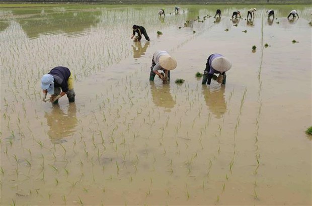 12 ngày lấy nước cho vụ Đông Xuân khu vực trung du và Đồng bằng Bắc Bộ