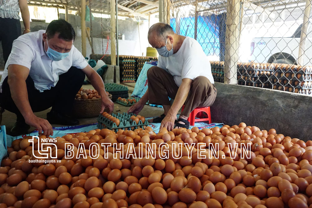 Đổi thay ở Bộc Nhiêu