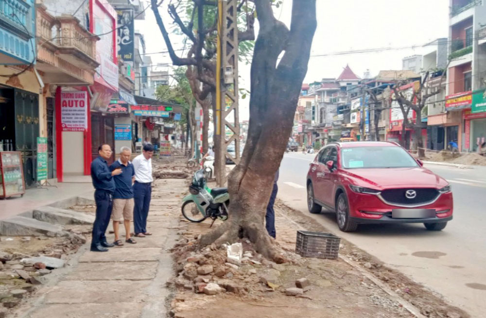 Tập trung nâng cấp hạ tầng đô thị
