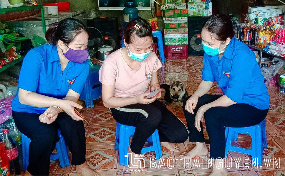 Đào tạo kỹ năng số cho gần 4.600 cán bộ, công chức, viên chức
