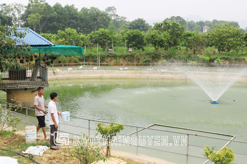 Lão nông mê công nghệ