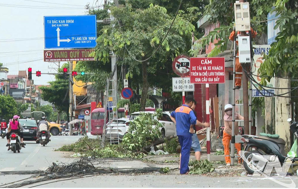 Chủ động ứng phó với bão số 3