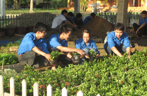 Phát huy vai trò thanh niên xung kích đi đầu 