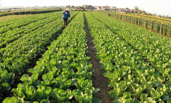 Một tương lai ấm đang chờ