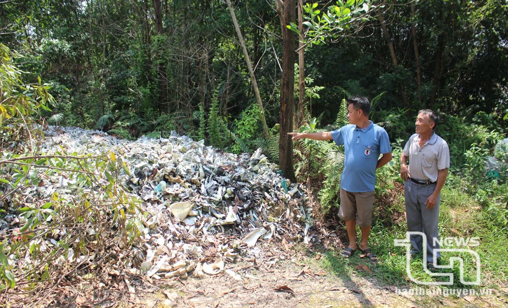 Tập kết xương động vật gây ô nhiễm ở Tân Lập: Cần sớm xử lý dứt điểm