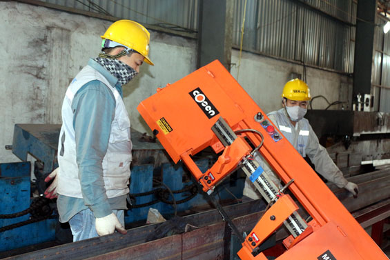 Không bị động trước hội nhập 