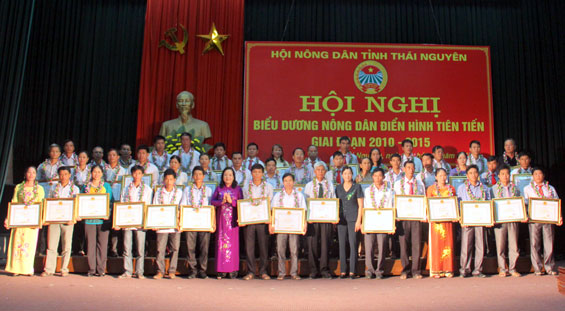 Hội Nông dân tỉnh: Khen thưởng các tập thể, cá nhân điển hình 