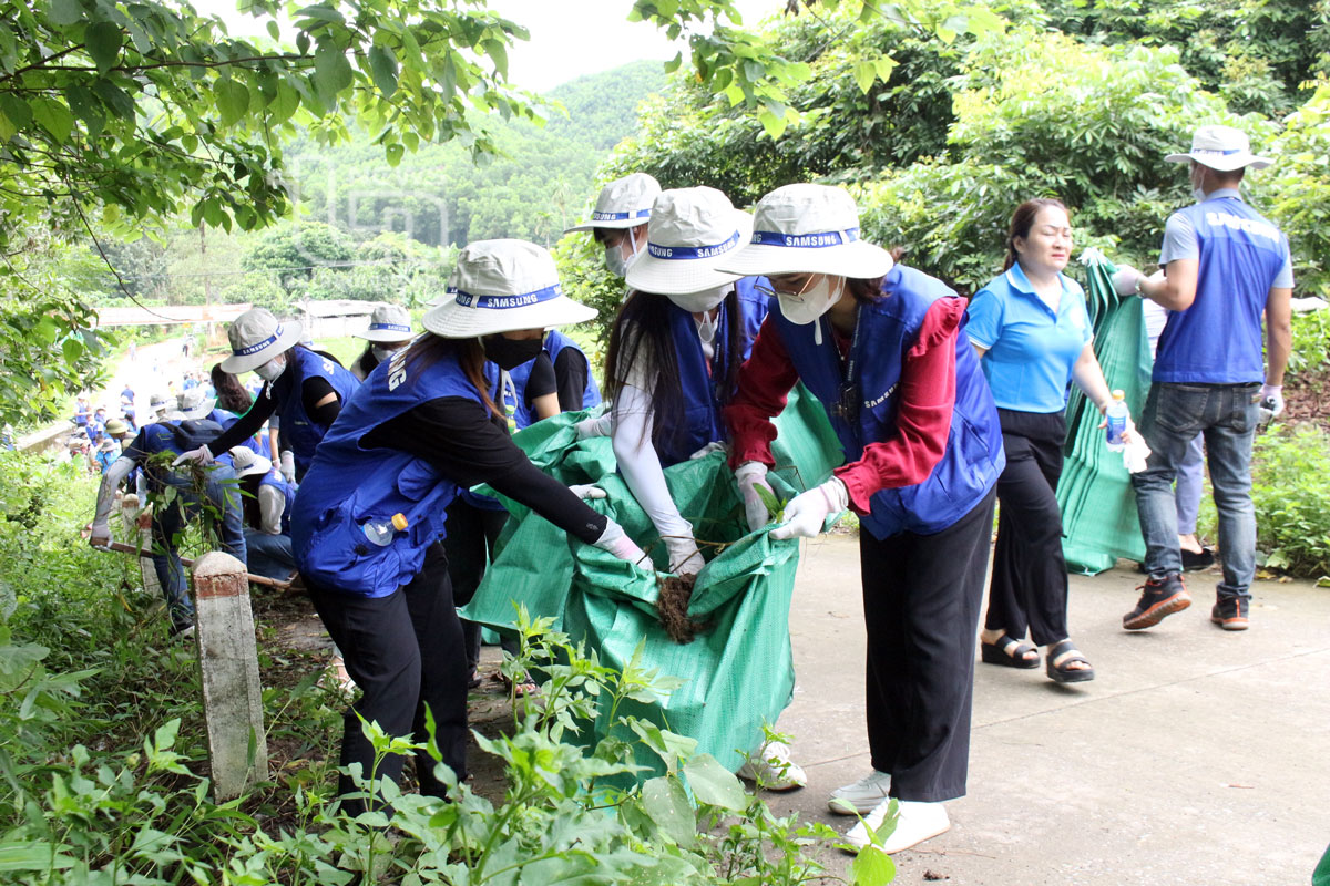Nhiều hoạt động hưởng ứng Ngày Môi trường thế giới