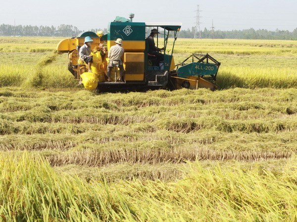 Tháng 11: Chỉ số giá tiêu dùng cả nước chỉ tăng có 0,07%