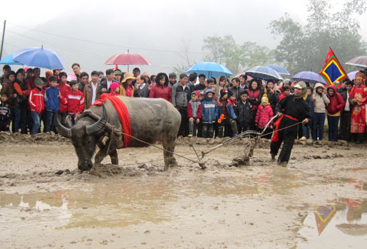 Mùa xuân trảy hội Lồng Tồng 