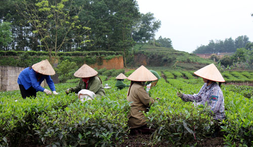 Phát huy tiềm năng du lịch làng nghề 