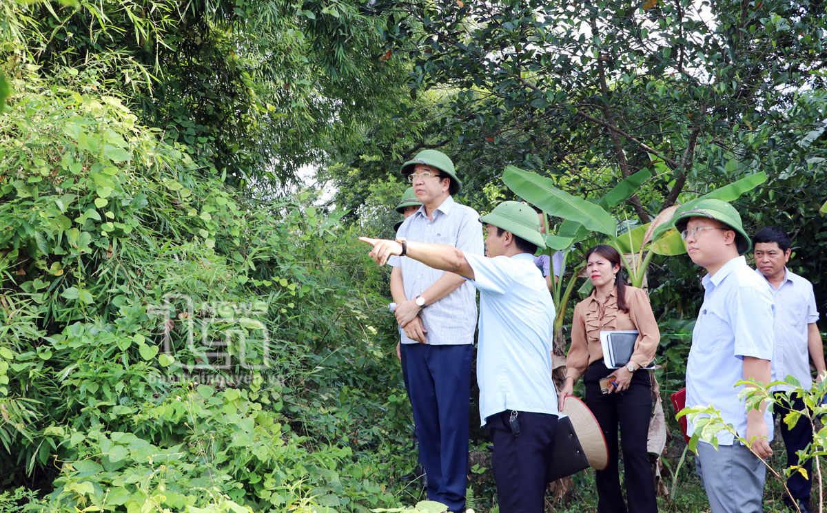 Lãnh đạo tỉnh kiểm tra tình trạng sạt lở bờ sông Cầu tại huyện Phú Bình