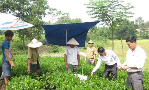 Quan tâm phát triển đảng viên vùng đồng bào dân tộc thiểu số 