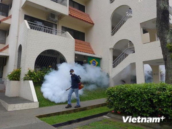 Singapore: Số người mắc sốt xuất huyết trong 1 tuần cao kỷ lục