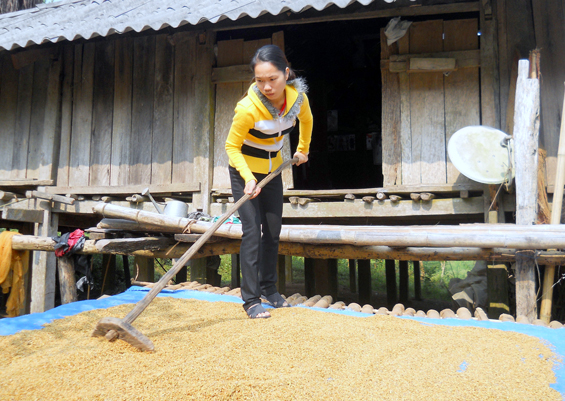 Sinh viên thất nghiệp và nỗi lo trả nợ ngân hàng 