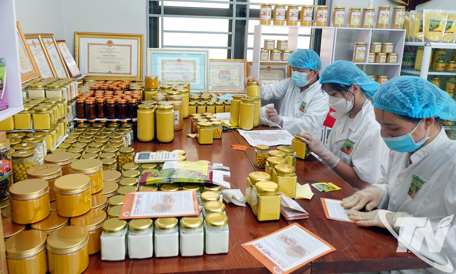 Phát triển sản phẩm OCOP từ lợi thế