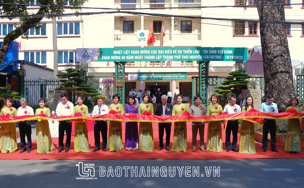 Triển lãm - Thi sinh vật cảnh TP. Thái Nguyên: Hội tụ hơn 6.000 tác phẩm