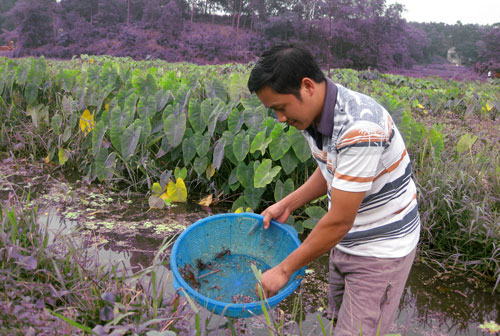 Thủ lĩnh thanh niên dám nghĩ, dám làm 