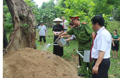Tiếp nhận cây sung cảnh có dáng hình bản đồ đất nước 
