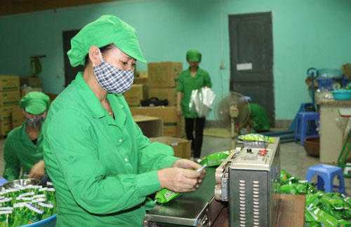 Thu hút đầu tư vào nông nghiệp, nông thôn 