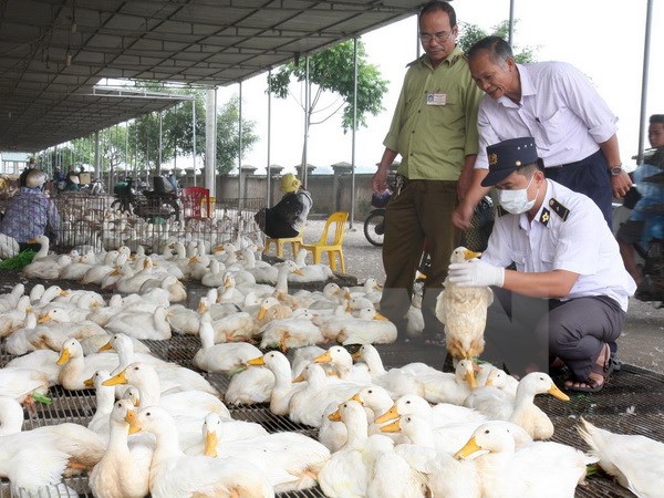Tổ chức chiến dịch kiểm tra an toàn thực phẩm dịp Tết Nguyên đán