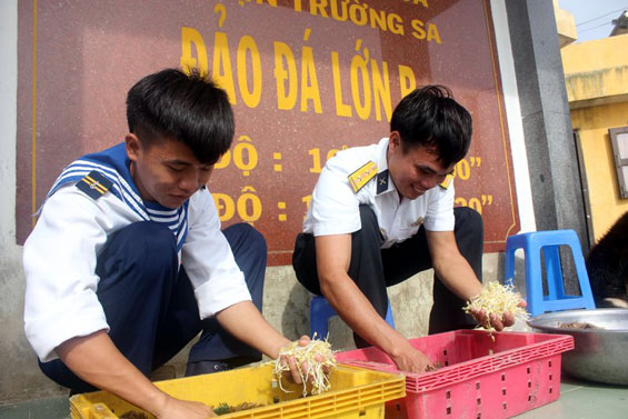 “Thực túc binh cường” ở đảo Đá Lớn 
