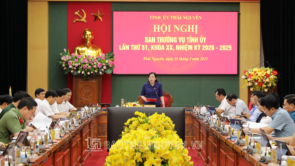 Cho ý kiến vào nhiều nội dung về phát triển kinh tế - xã hội