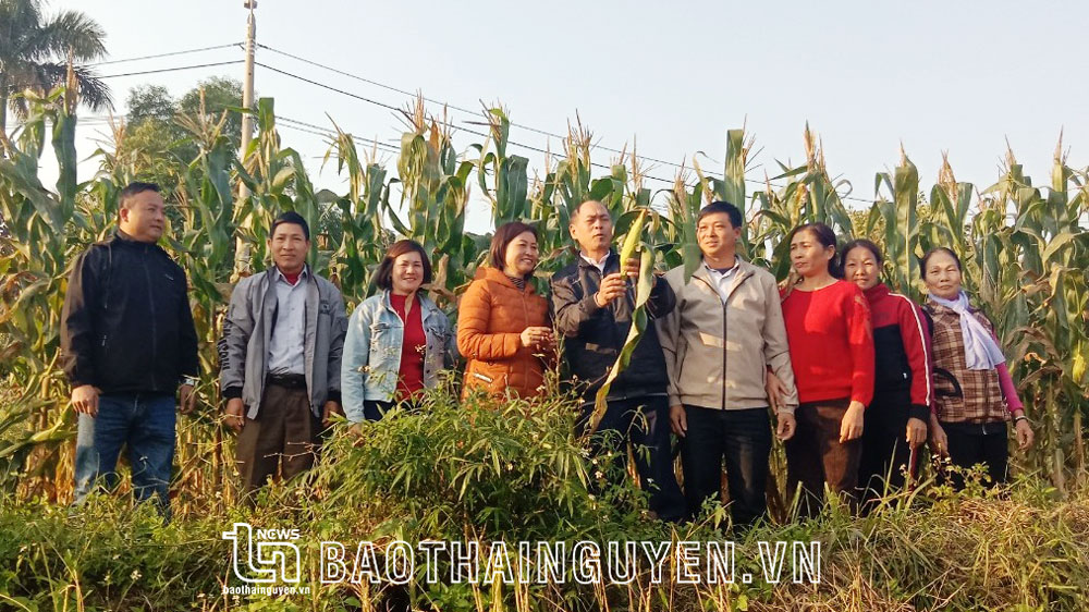 Đồng hành với hội viên trong phát triển kinh tế