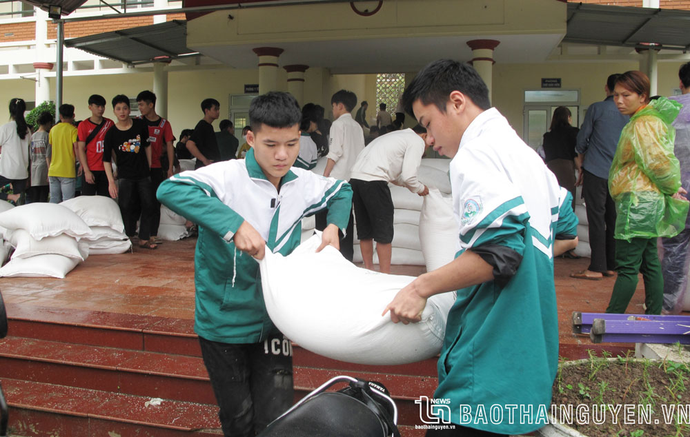 Tuyển bổ sung 482 chỉ tiêu lớp 10 năm học 2023-2024