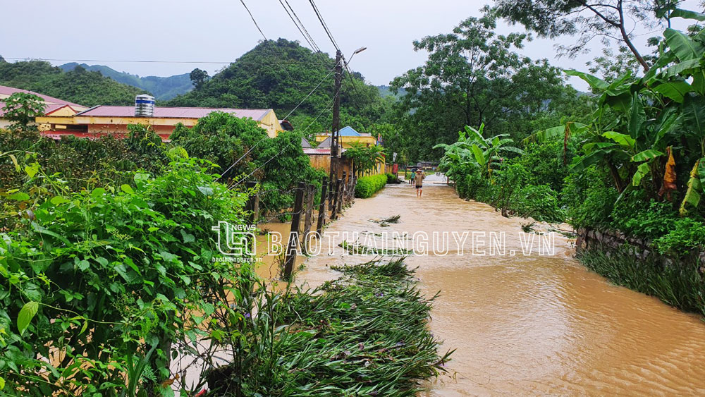 Vùng cao Võ Nhai chủ động ứng phó với thiên tai