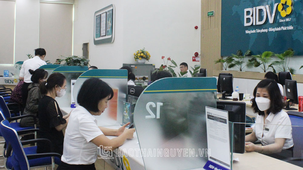 Lãi suất giảm, huy động vốn vẫn tăng: Lo hơn mừng