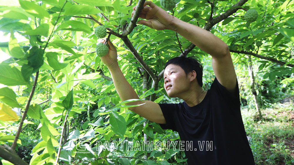 Tràng Xá hỗ trợ nông dân đưa khoa học xuống đồng ruộng