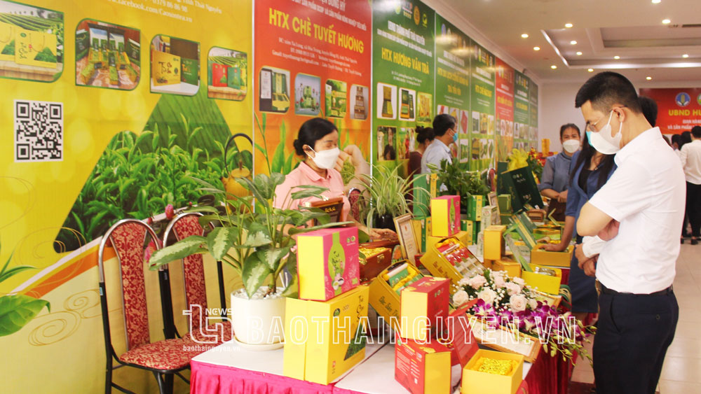 Khi kinh tế tập thể được “tiếp sức”